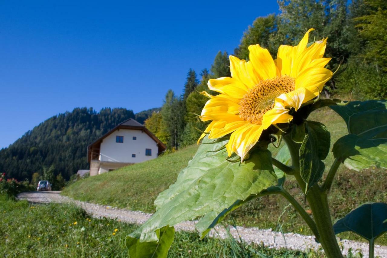 Villa Turisticna Kmetija Perk Solčava Exterior foto