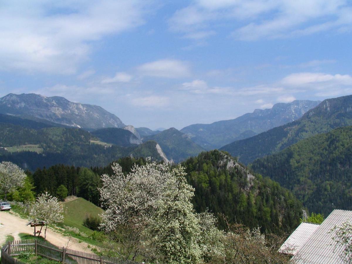 Villa Turisticna Kmetija Perk Solčava Exterior foto