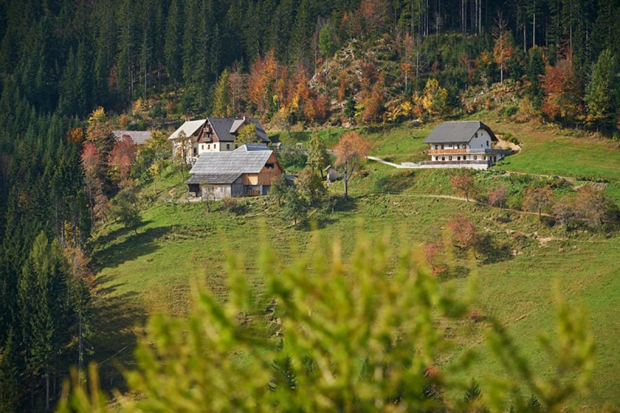 Villa Turisticna Kmetija Perk Solčava Exterior foto
