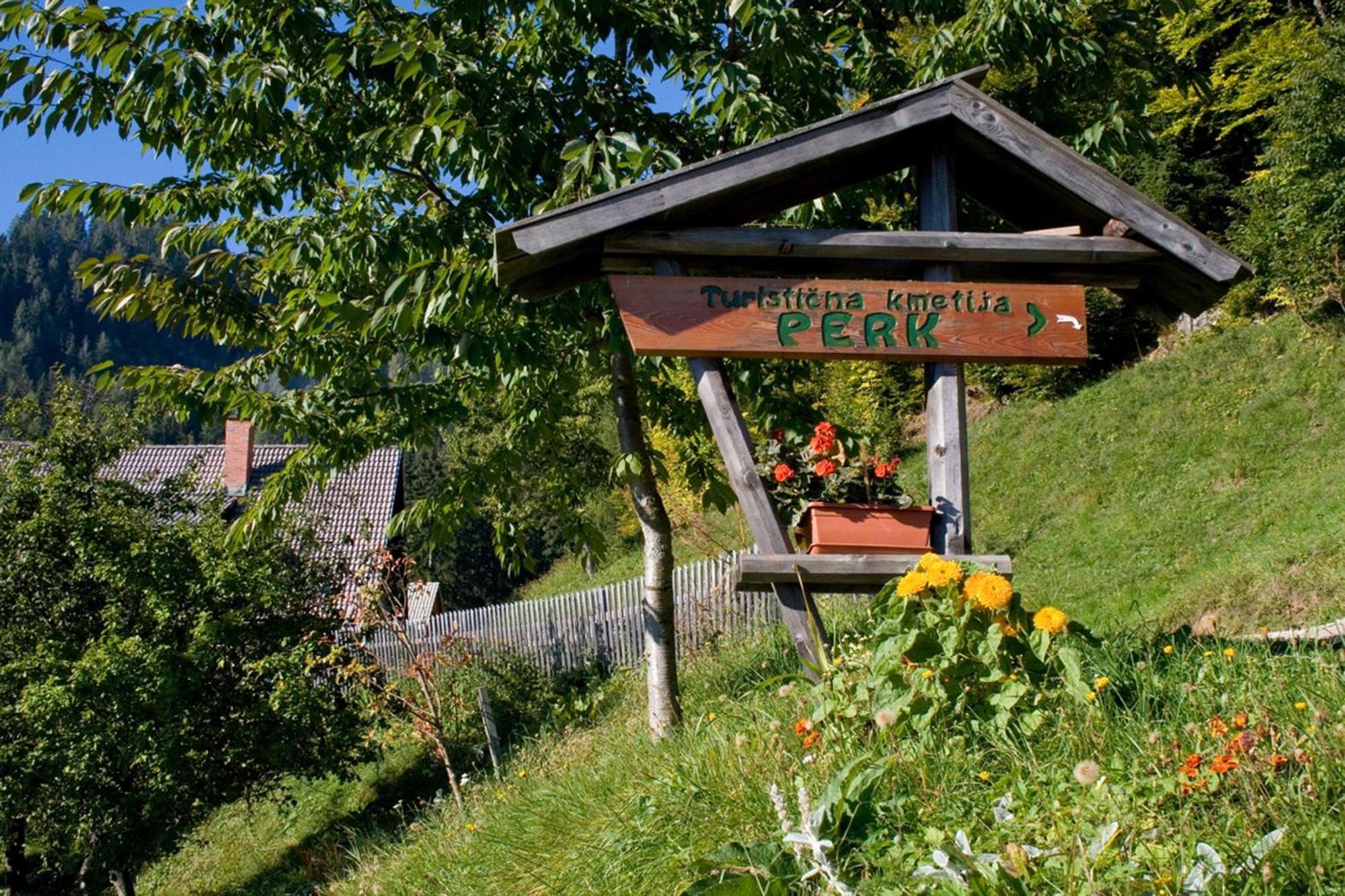 Villa Turisticna Kmetija Perk Solčava Exterior foto
