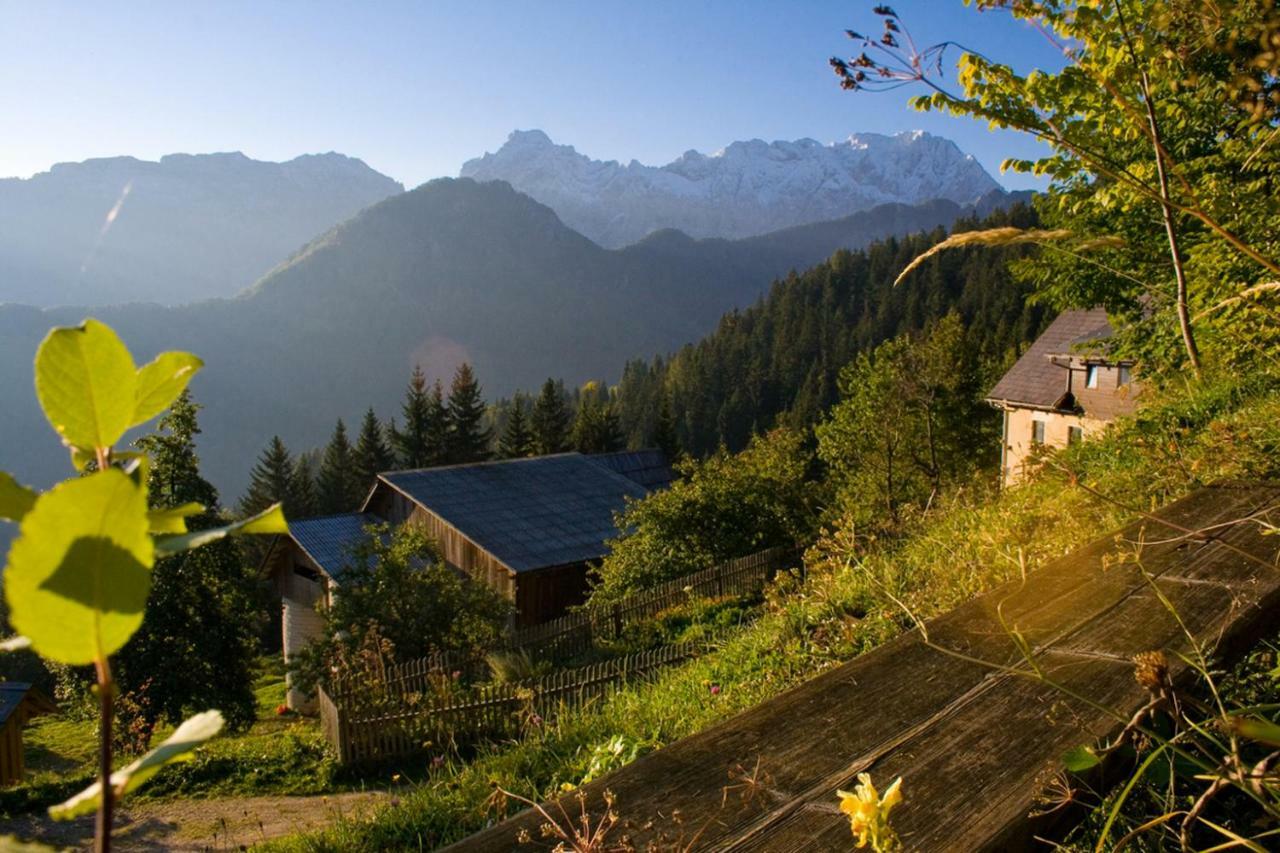 Villa Turisticna Kmetija Perk Solčava Exterior foto