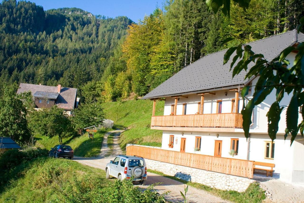 Villa Turisticna Kmetija Perk Solčava Exterior foto